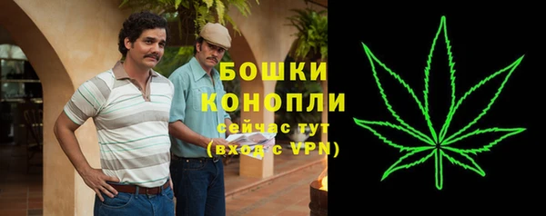 кристаллы Гусь-Хрустальный