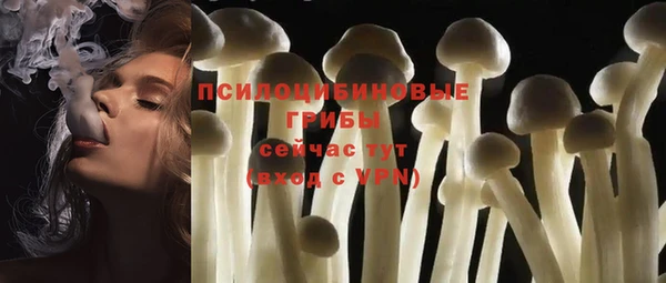 кристаллы Гусь-Хрустальный