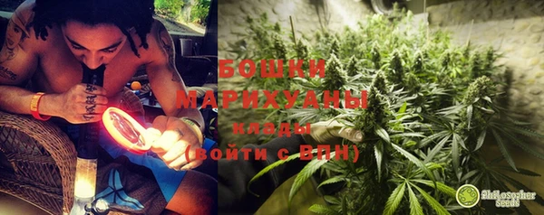 ECSTASY Гусев