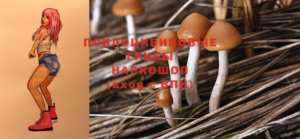 ECSTASY Гусев