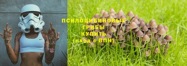 кристаллы Гусь-Хрустальный