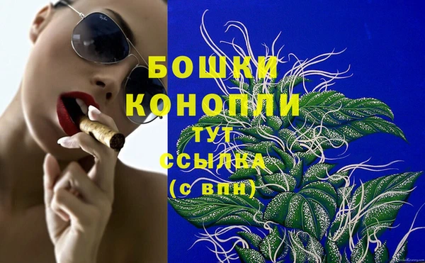 ECSTASY Гусев