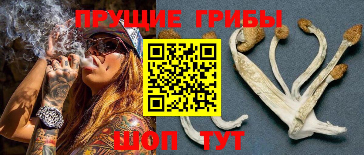 как найти закладки  Псилоцибиновые грибы ЛСД  Вход с VPN  Москва  Псилоцибиновые грибы мухоморы 