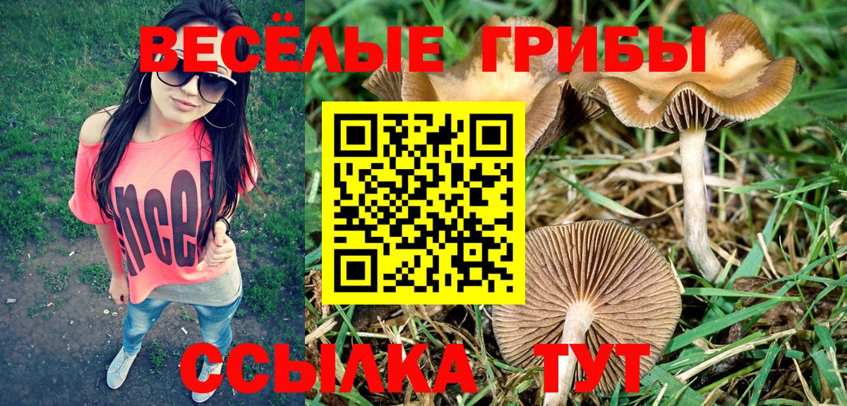 Метадон Москва